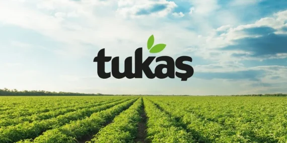 Tukaş Gıda’dan (TUKAS) bilanço açıklaması