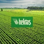 hekts-2-1024x576.webp