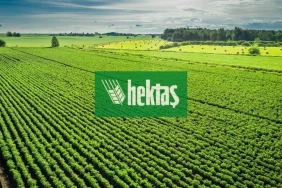 hekts-2-1024x576.webp