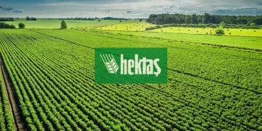 hekts-2-1024x576.webp
