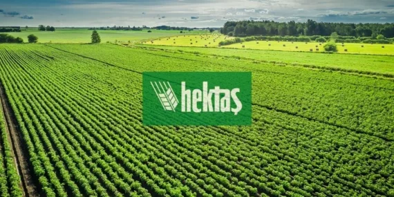 Hektaş (HEKTS) hisseleri için yeni hedef fiyat açıklandı