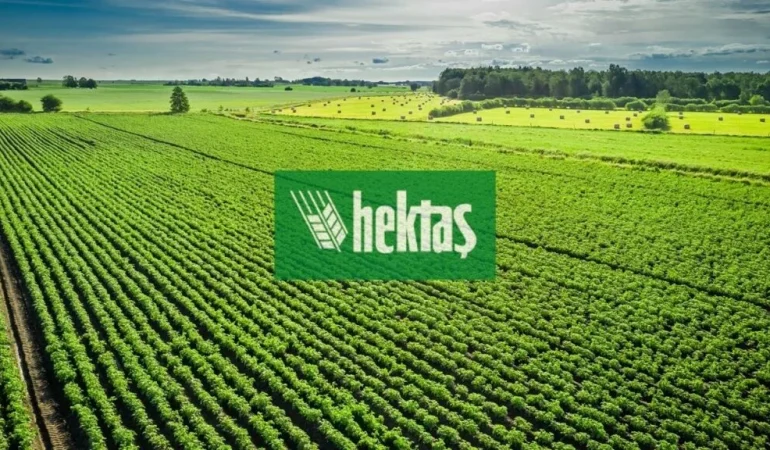 hekts-2-1024x576.webp